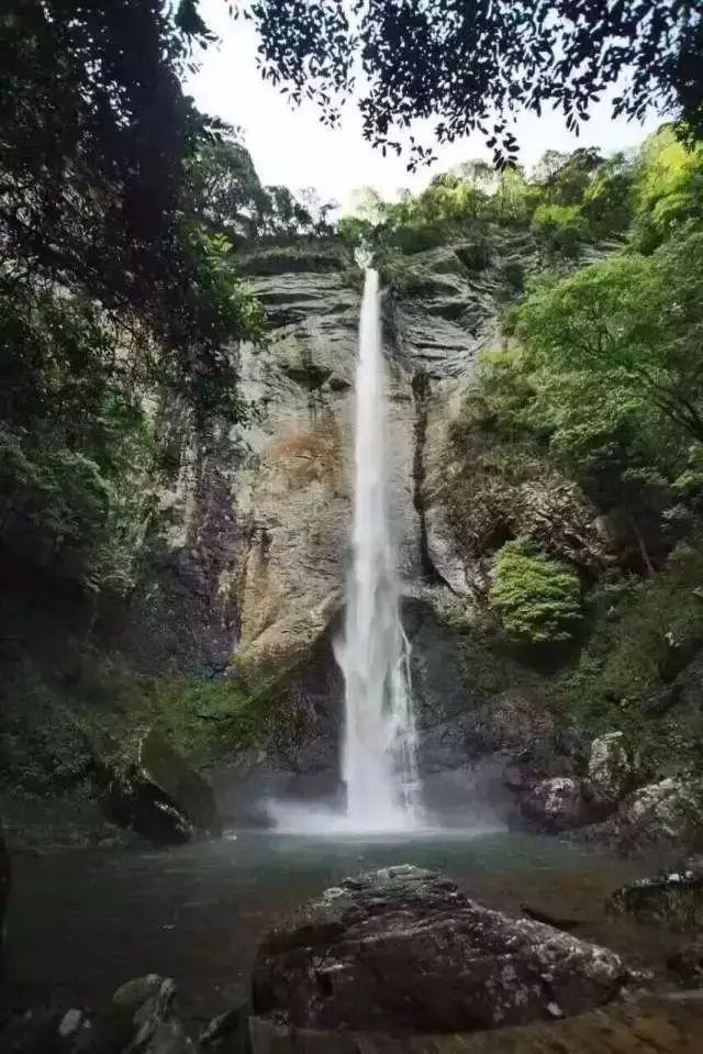 草鱼豆腐怎么做好吃法窍门窍门游戏画面